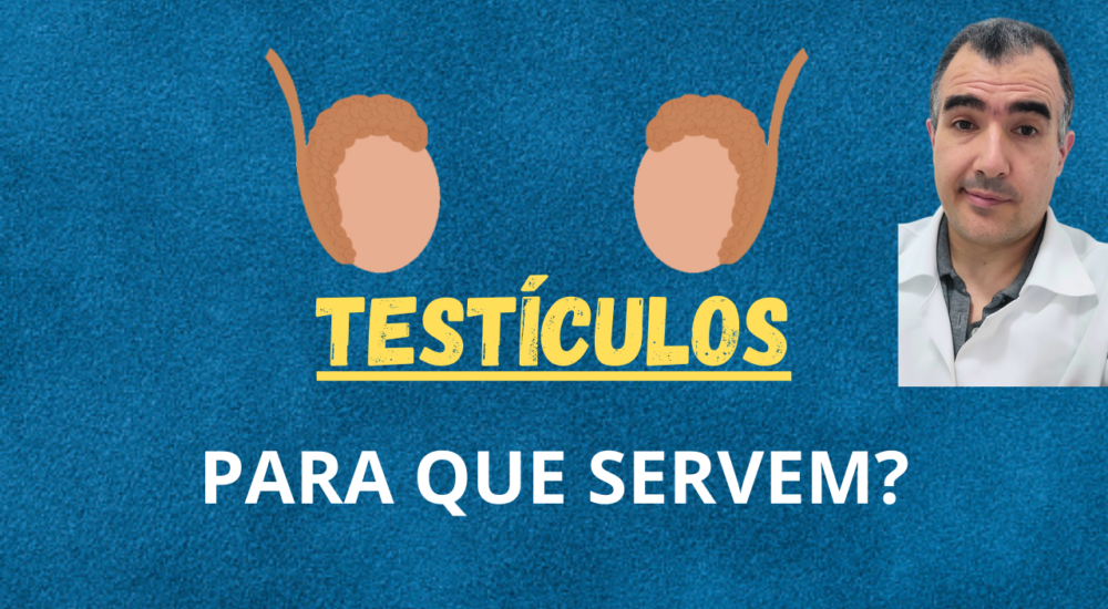 Import ncia Dos Test culos Na Sa de Masculina Dr Lucas Felipe Gomes 